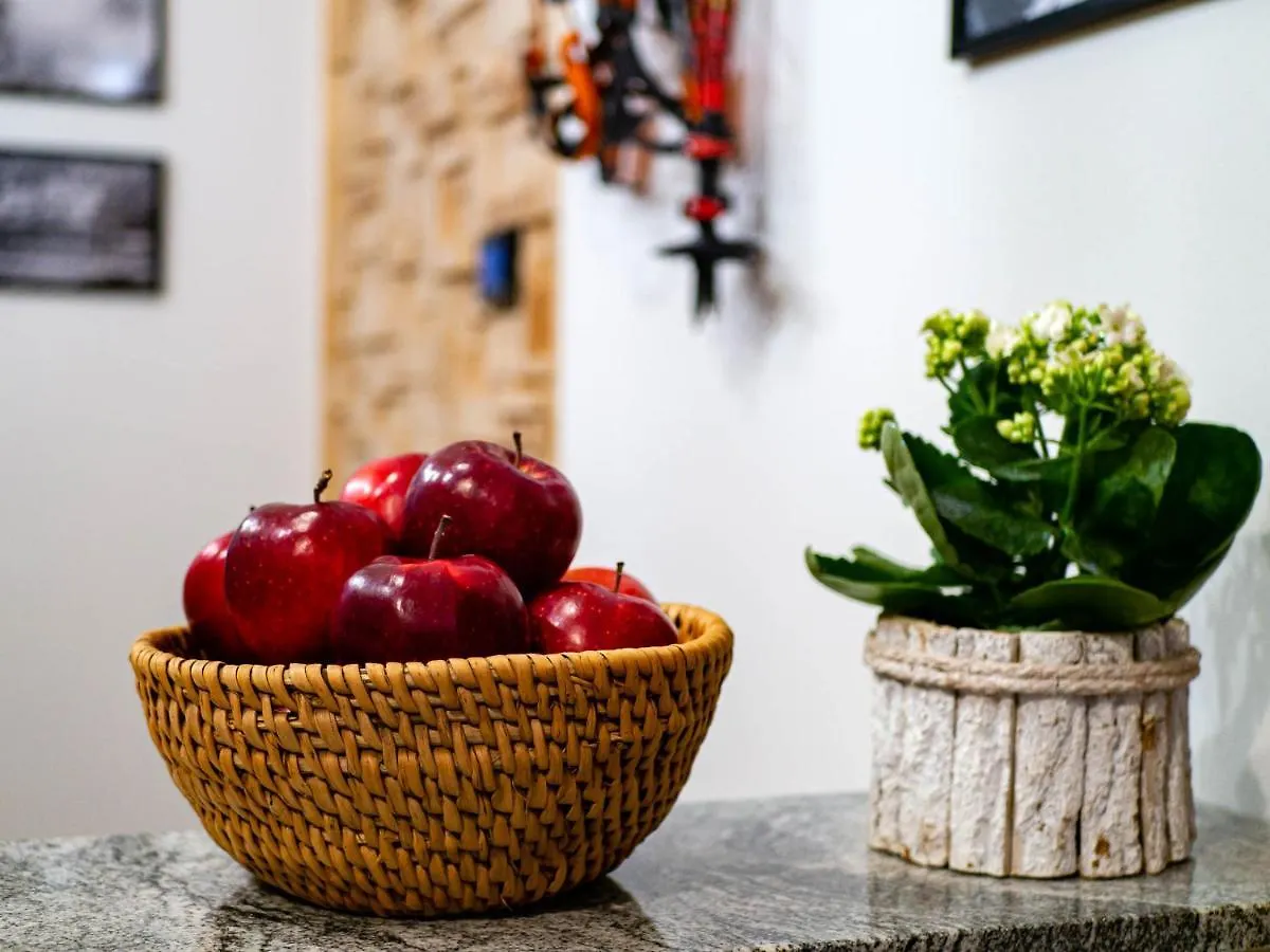 Bed & Breakfast Villa Taternik By Golden Apartments Zakopane